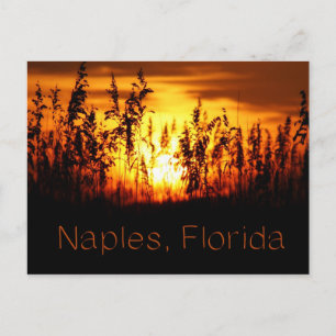 Naples Florida Sunset Briefkaart