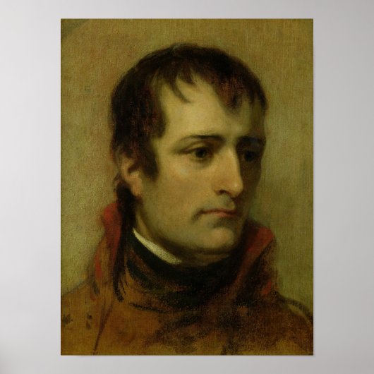 Napoleon Bonaparte First Consul, 1802 Poster (Voorkant)