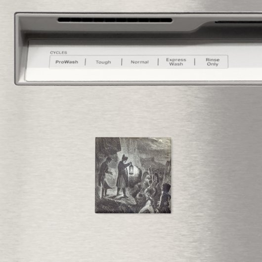 Napoleon-extricateurs van Lannes Magneet (Insitu (Vaatwasser))