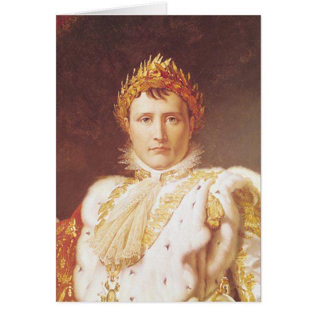 Napoleon I in Coronation Robes, c.1804 (Voorkant)