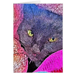 Napoleon in een deken