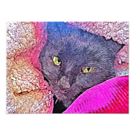 Napoleon in een deken foto afdruk