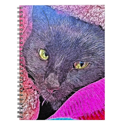 Napoleon in een deken notitieboek (Voorkant)