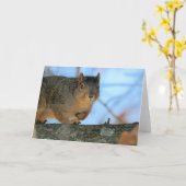 Napoleon Kaart (Gele Bloem)