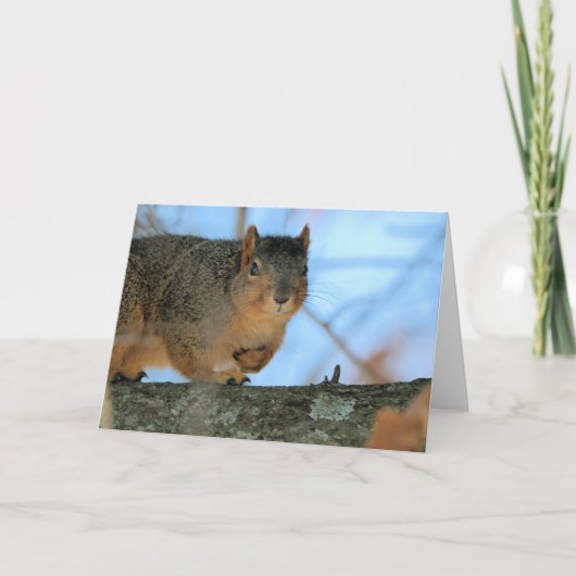 Napoleon Kaart (Voorkant)