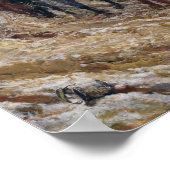 Napoleon over de campagne in 1814, 1864 poster (Hoek)