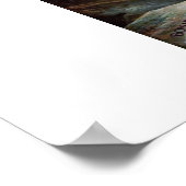 napoleon poster (Hoek)