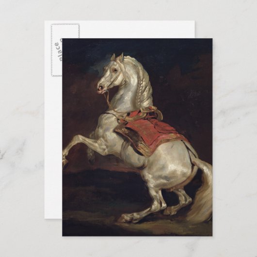 Napoleon's Stallion, Tamerlan Briefkaart (Voorkant / Achterkant)
