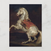 Napoleon's Stallion, Tamerlan Briefkaart (Voorkant)