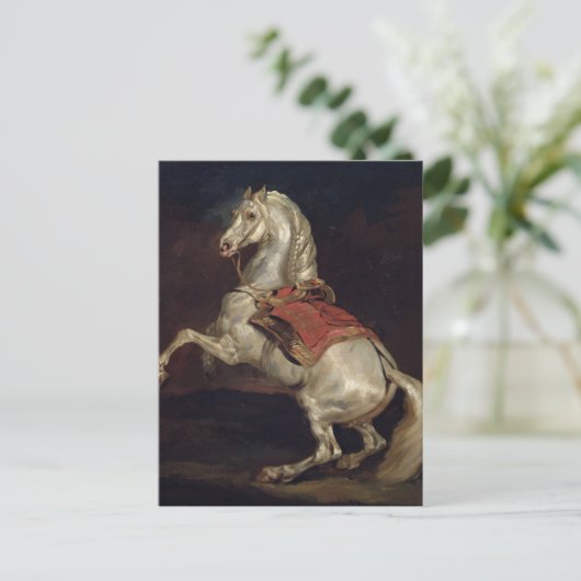 Napoleon's Stallion, Tamerlan Briefkaart (Staand voorkant)