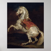 Napoleon's Stallion, Tamerlan Poster (Voorkant)