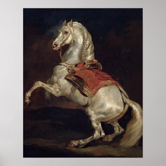 Napoleon's Stallion, Tamerlan Poster (Voorkant)