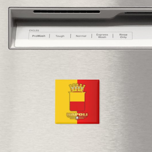 Napoli Magneet (Insitu (Vaatwasser))