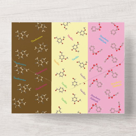 Napolitaanse Ice Cream Chemistry Science Party All In One Uitnodiging (Achterkant)