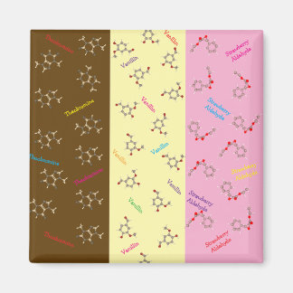 Napolitaanse ijs chemie magneet