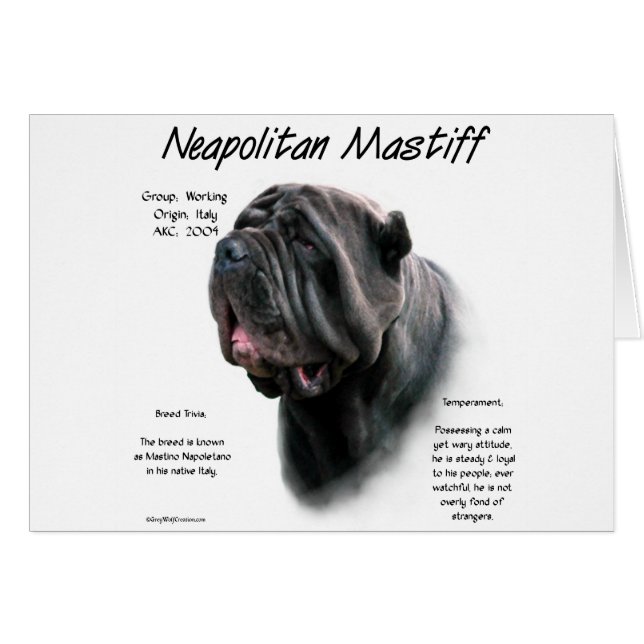 Napolitaanse Mastiff (bk) Geschiedenis Ontwerp (Voorkant Horizontaal)