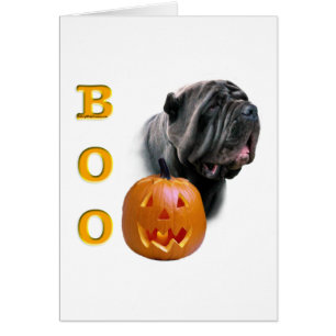 Napolitaanse Mastiff Boo