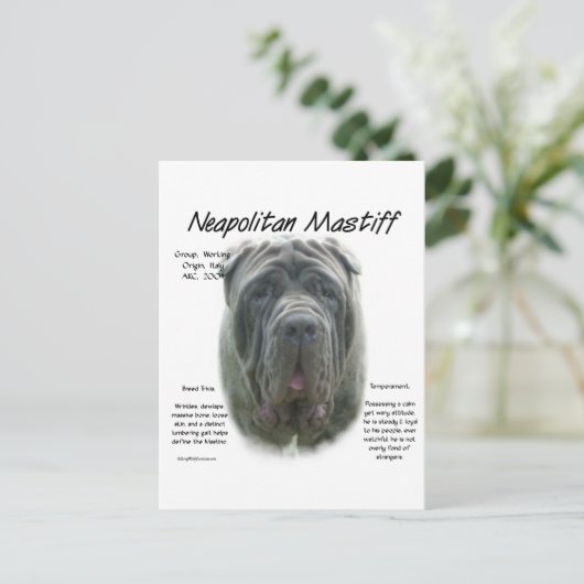 Napolitaanse Mastiff (grijs) Geschiedenis Ontwerp Briefkaart (Staand voorkant)