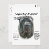 Napolitaanse Mastiff (grijs) Geschiedenis Ontwerp Briefkaart (Voorkant / Achterkant)