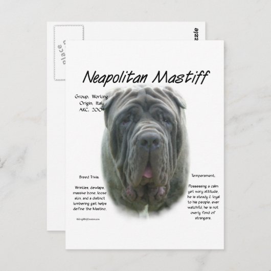 Napolitaanse Mastiff (grijs) Geschiedenis Ontwerp Briefkaart (Voorkant / Achterkant)
