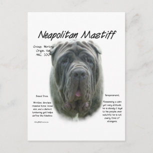 Napolitaanse Mastiff (grijs) Geschiedenis Ontwerp Briefkaart