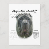 Napolitaanse Mastiff (grijs) Geschiedenis Ontwerp Briefkaart (Voorkant)