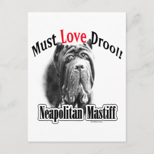 Napolitaanse mastiff moet van kwijlen houden briefkaart