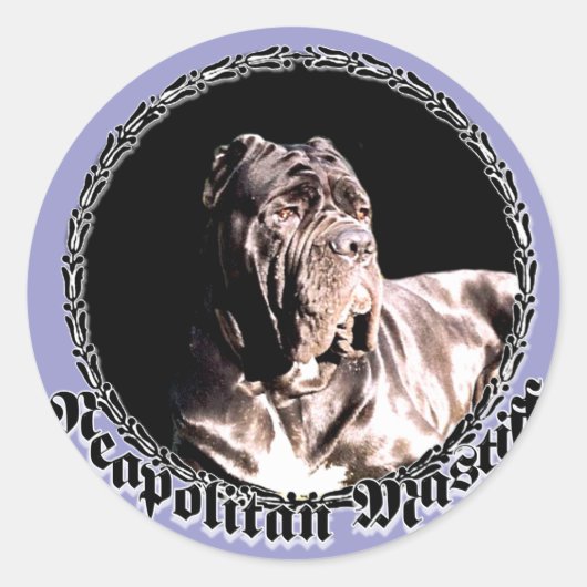 Napolitaanse mastiff sticker (Voorkant)