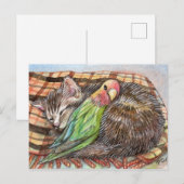 Napping Buddy Briefkaart (Voorkant / Achterkant)