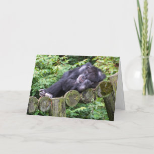 Napping Chimpansee Verjaardag Humor Kaart