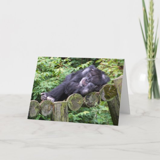 Napping Chimpansee Verjaardag Humor Kaart (Voorkant)