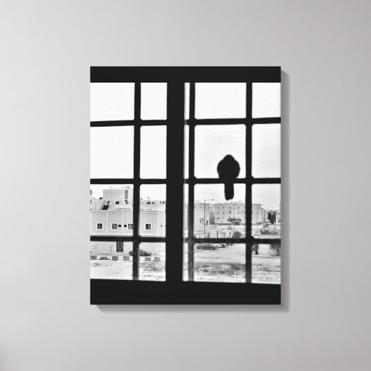 Napping Dove Canvas Afdruk (Voorkant)