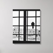 Napping Dove Canvas Afdruk (Voorkant)