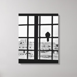 Napping Dove Canvas Afdruk