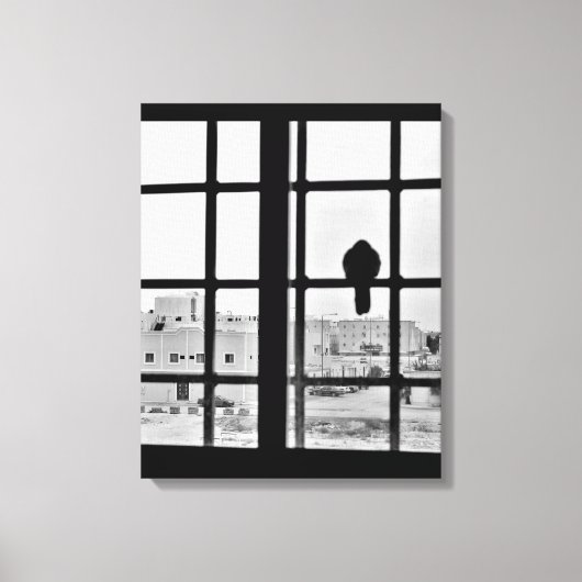 Napping Dove Canvas Afdruk (Voorkant)