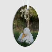 Napping Duck Ornament (voorkant)