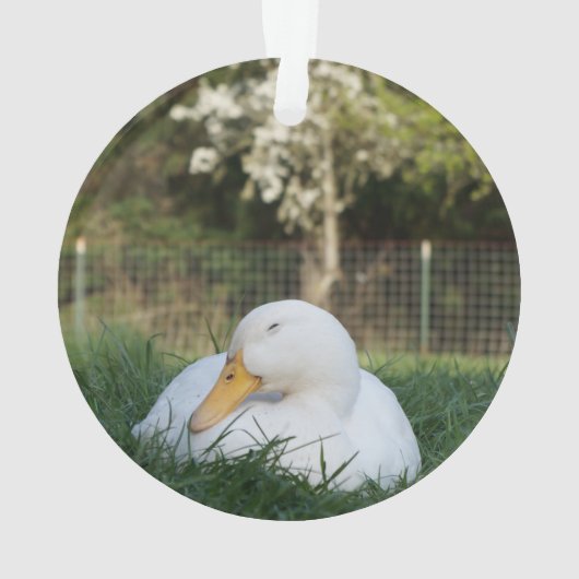 Napping Duck Ornament (achterkant)
