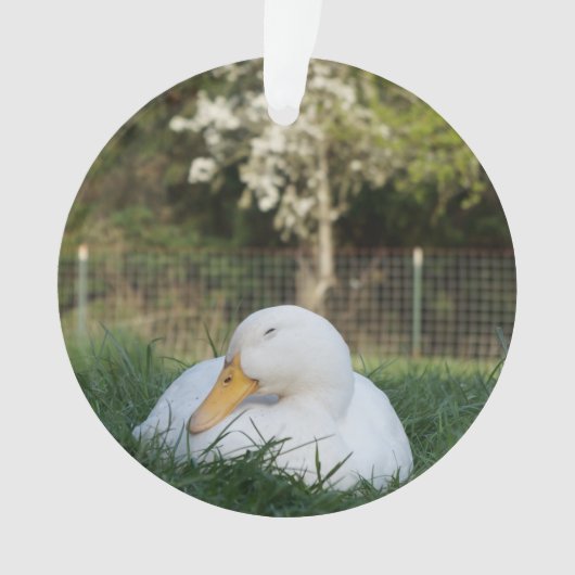 Napping Duck Ornament (voorkant)