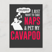 Napping en bevochtigen mijn Cavapoo Dog Nap Humor Briefkaart (Voorkant)