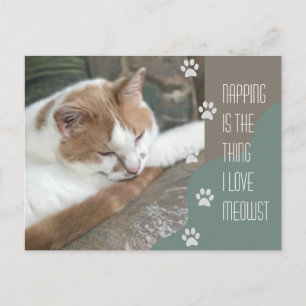 Napping is het ding waar ik van houd, de meeste ka briefkaart
