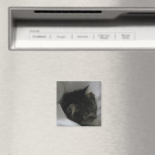 Napping kat magneet (Insitu (Vaatwasser))