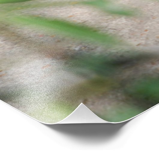 Napping Ocelot Foto Afdruk (Hoek)