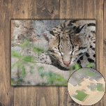 Napping Ocelot Legpuzzel<br><div class="desc">Een Ocelot dut op een koele marsmorgen achter de struiken. Vlekken en strepen bedekken zijn zachte geelbruine vacht en bieden camouflage in de gevlekte zon. Zijn oren zijn alert, scannen op elk geluid dat een potentiële prooi of een bedreiging zou kunnen signaleren. Zijn ogen zijn gefixeerd op iets uit de...</div>
