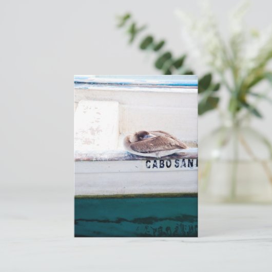 Napping Pelican Briefkaart (Staand voorkant)