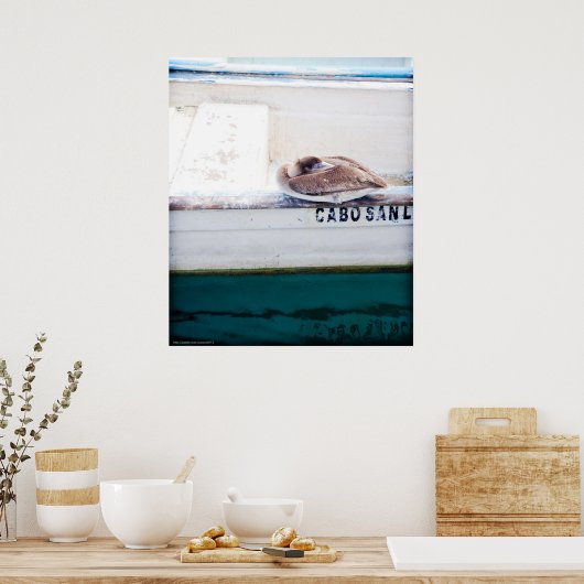 Napping Pelican Poster (Keuken)