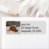 Napping van wilde pony's in het nationaal park Ass Etiket (Insitu)