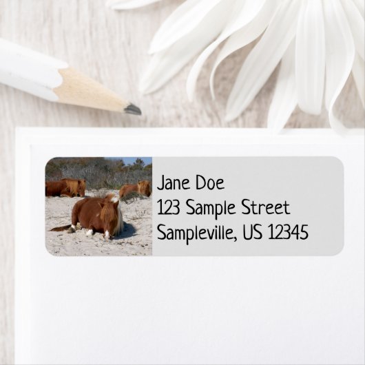 Napping van wilde pony's in het nationaal park Ass Etiket (Insitu)