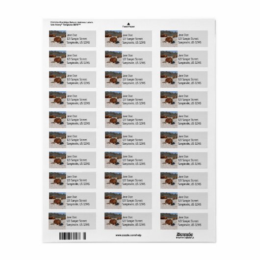 Napping van wilde pony's in het nationaal park Ass Etiket (Full Sheet)