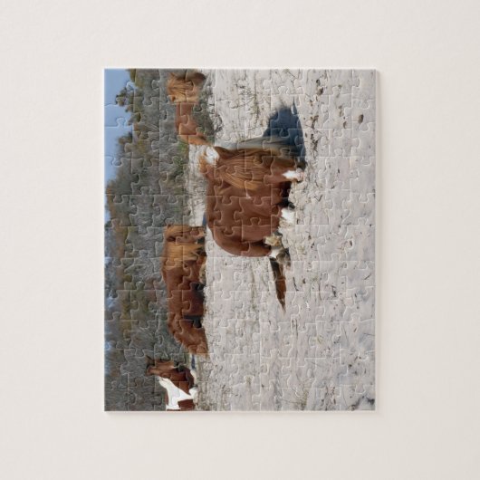 Napping van wilde pony's in het nationaal park Ass Legpuzzel (Verticaal)