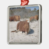 Napping van wilde pony's in het nationaal park Ass Metalen Ornament (Links)